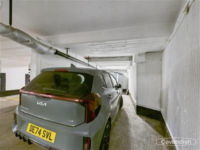 Picture 20